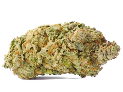 Super Pink Strain