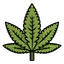 We offer a wide variety of strains and products to satisfy any customer - including edibles, oils, concentrates, pills and more. Satisfy your cravings with Canada's premier online dispensary.