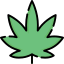Online Dispensary, Cannabis Shop