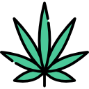 BudZilla Canada offers the best selection of marijuana and marijuana products, including flowers, concentrates, edibles, and more. We pride ourselves on a curated selection of cannabis that is grown in sustainably-managed greenhouses.